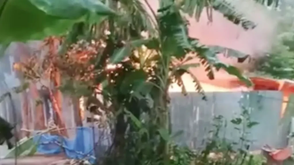 পাবনায় কিশোরীকে ধষর্ণ-হত্যার জেরে আসামিদের বাড়িতে আগুন, দগ্ধ হয়ে নিহত ৩
